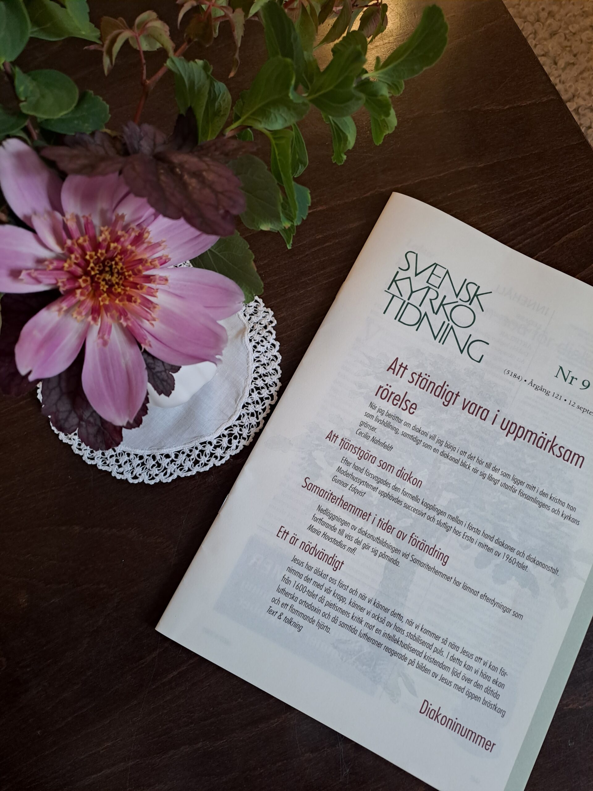 Svensk kyrkotidning rosa blomma